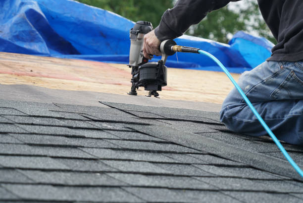 Best Gutter Installation and Roofing  in Cedville, AR